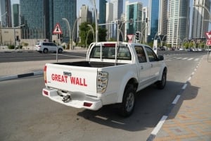 جريت وول موديل 2015، Y-15792 - 4