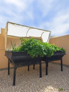 Large Vegepod with Stand - 5