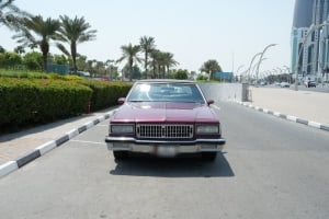 بونتياك باريسيان موديل 1991، Y-15830 - 4