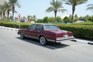 بونتياك باريسيان موديل 1991، Y-15830 - 5
