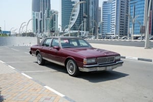 بونتياك باريسيان موديل 1991، Y-15830 - 3