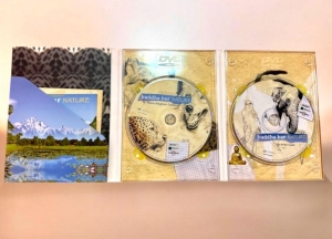 The Prestigious Buddha-Bar Music Cd Collection - 3