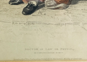 Antique European Wall Print – Doctor in Law or Physic, in Congregation Robes - 2