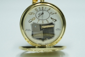 Pocket Watch  - 7