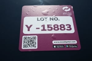 كيا كارينز موديل 2017، Y-15883 - 13