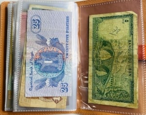 Album of 50 Vintage Assorted Banknotes - 4 - 8