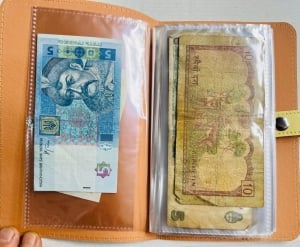 Album of 50 Vintage Assorted Banknotes - 5 - 7
