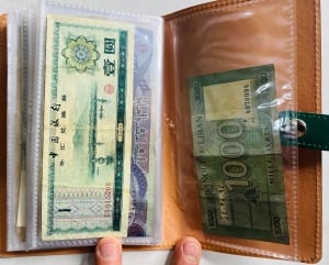 Album of 50 Vintage Assorted Banknotes - 6 - 7