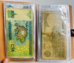 Album of 50 Vintage Assorted Banknotes - 7 - 2