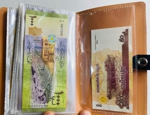 Album of 50 Vintage Assorted Banknotes - 7 - 9