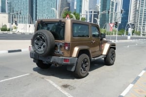 Jeep Wrangler Model 2015, Y-15924 - 6