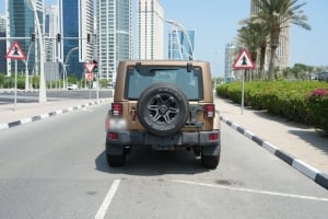 Jeep Wrangler Model 2015, Y-15924 - 5
