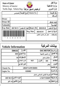 GAC EMKOO Model 2024, Y-15930 - 12