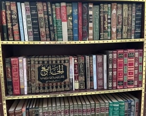 Collection of 230 Assorted Books - 5