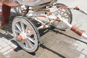 Classic Royal Horse-Drawn Carriage   - 4
