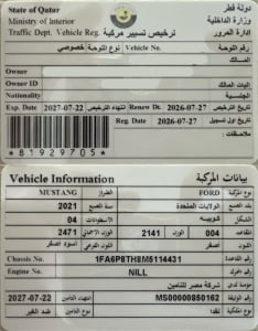 فورد موستانج موديل 2021، Y-16000 - 11