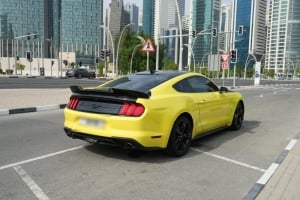 فورد موستانج موديل 2021، Y-16000 - 7