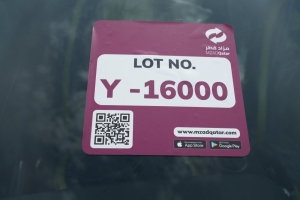 فورد موستانج موديل 2021، Y-16000 - 12