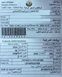 كاديلاك إسكاليد إس يو ڤي موديل 2024، C-11260 - 14