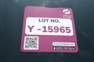 Ford Taurus Model 2012, Y-15965 - 12