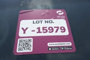 نيسان باترول موديل 2019، Y-15979 - 12