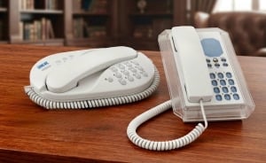 A Unique and Distinctive Pair of Vintage Telephones - 2