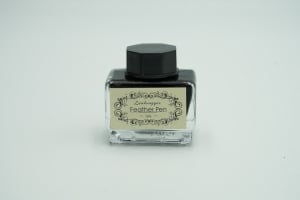 A quill pen with ink that imitates medieval pens - 9