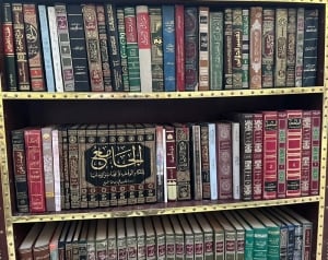 Collection of 230 Assorted Books - 5