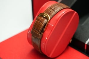 Omega Watch - 5