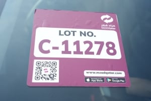 جيلي كولراي هاتشباك موديل 2025، C-11278 - 13