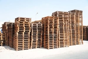 طبالي خشبية – حوالي 10,000 قطعة - 3
