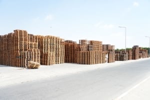 طبالي خشبية – حوالي 10,000 قطعة - 2