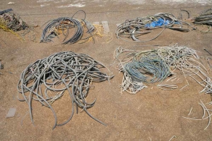 Coiled Cables & Wiring - 5