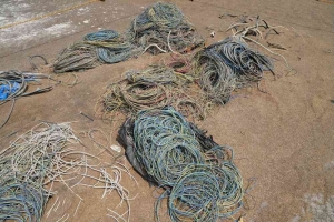 Coiled Cables & Wiring - 4