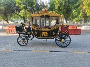Electric Royal Horse Carriage - 6