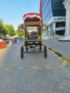 Electric Royal Horse Carriage - 11
