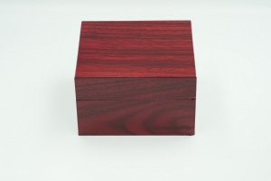 Onola Watch - 9