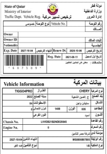 Chery Tiggo 4 Pro Model 2022, Y-16113 - 12