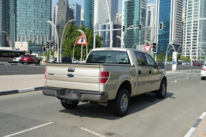 Ford F150 Model 2009, Y-16115 - 7