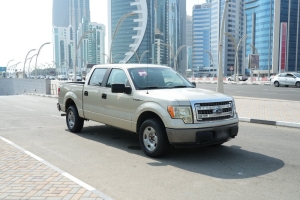 Ford F150 Model 2009, Y-16115 - 3