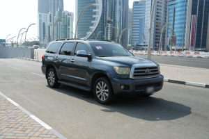 Toyota Sequoia Model 2010, Y-16116 - 3