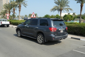 Toyota Sequoia Model 2010, Y-16116 - 5