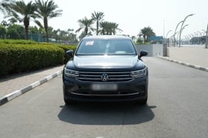 Volkswagen Tiguan Model 2024, Y-16118 - 4