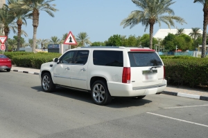 Cadillac Escalade Model 2012, Y-16105 - 5