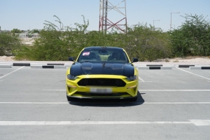 Ford Mustang Coupe Model 2021, C-11349 - 3