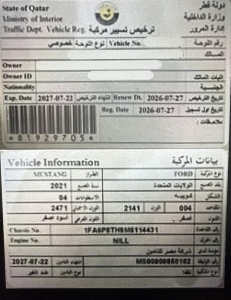 Ford Mustang Coupe Model 2021, C-11349 - 11