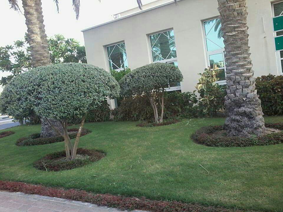 زراعه الحدائق - 10