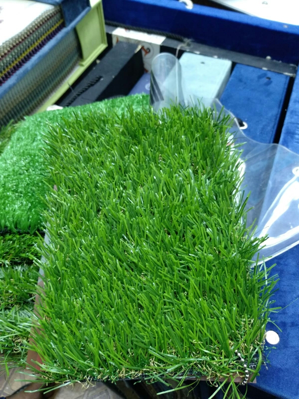 Grass Carpet Sale and fixing - 2