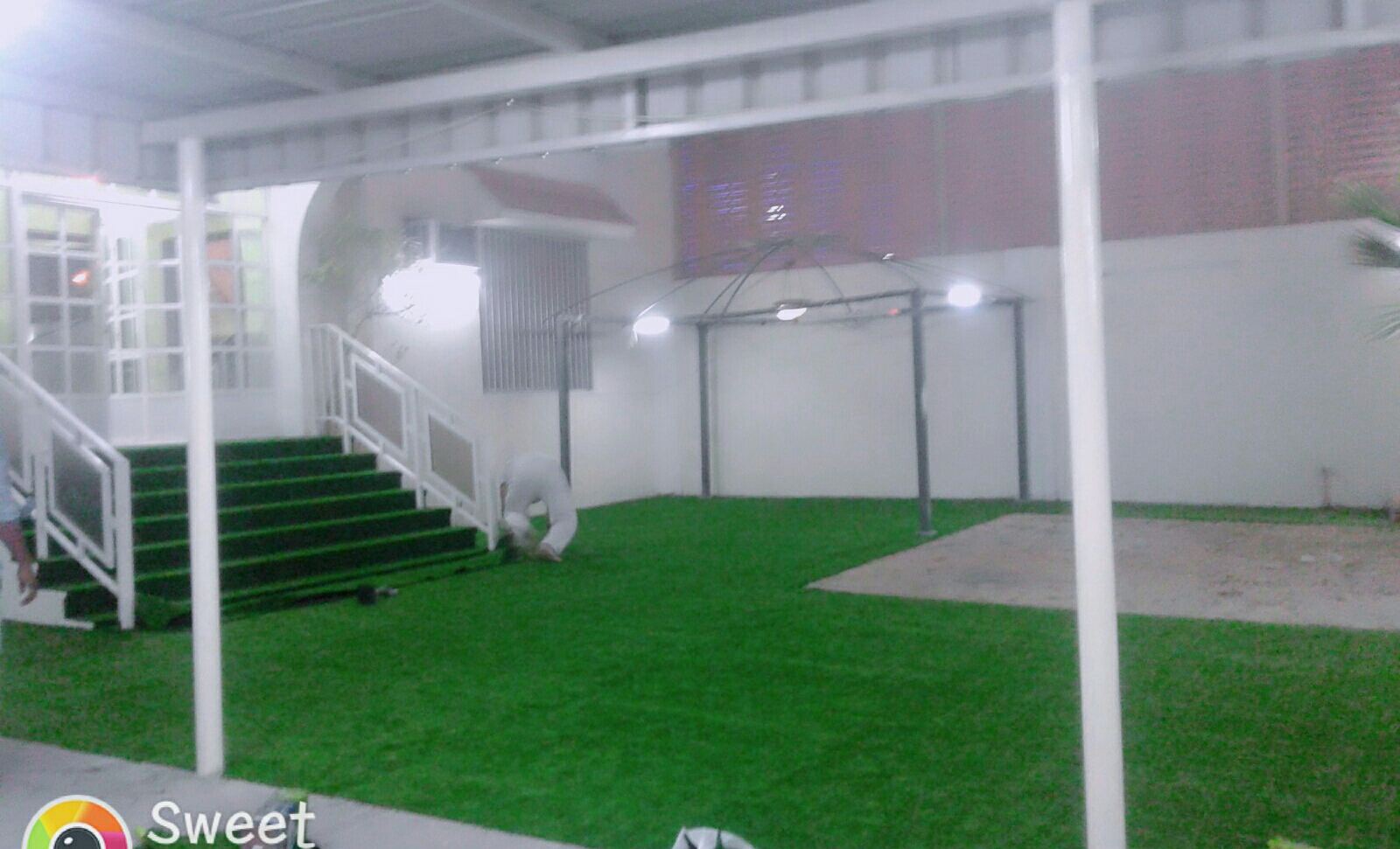 العشب الاصطناعي النقي السجاد - 4