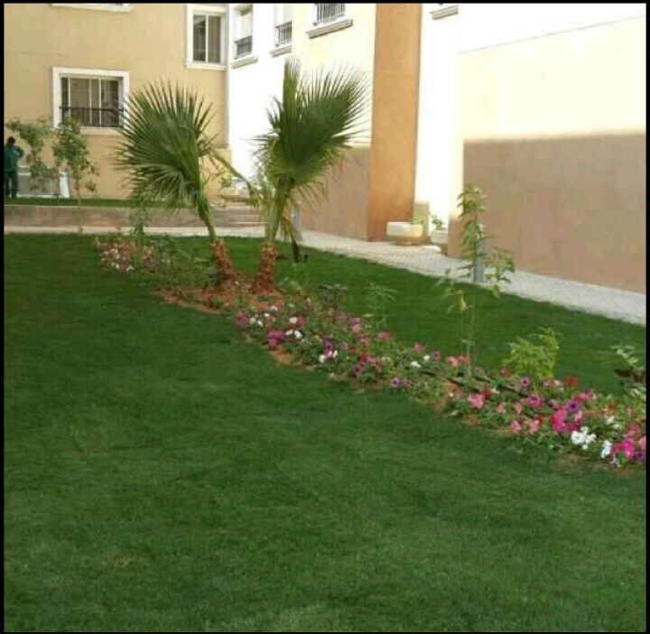 زراعة وتنسيق حدائق - 4